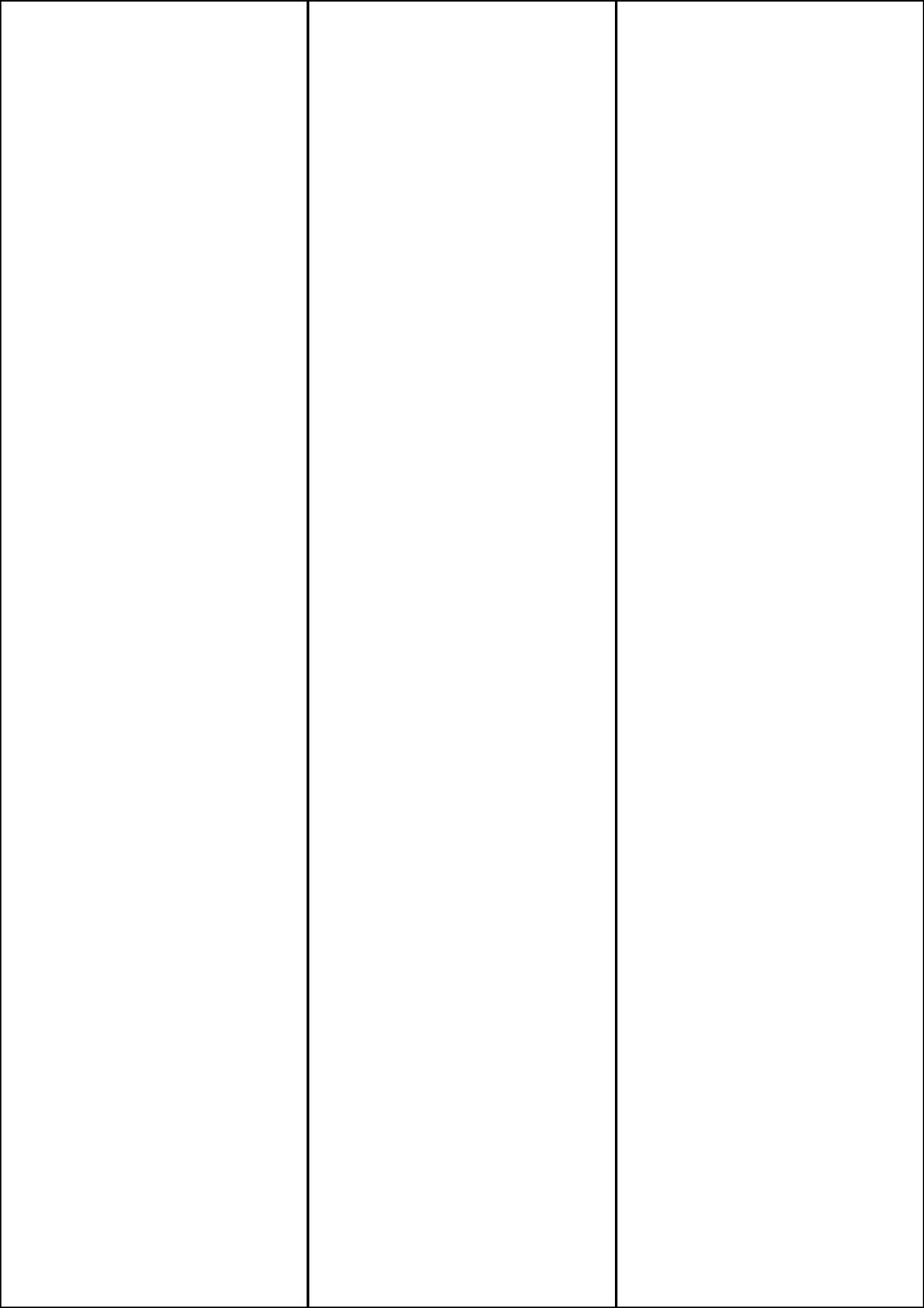 Rectangle Sticker Labels 295.2mm x 70mm